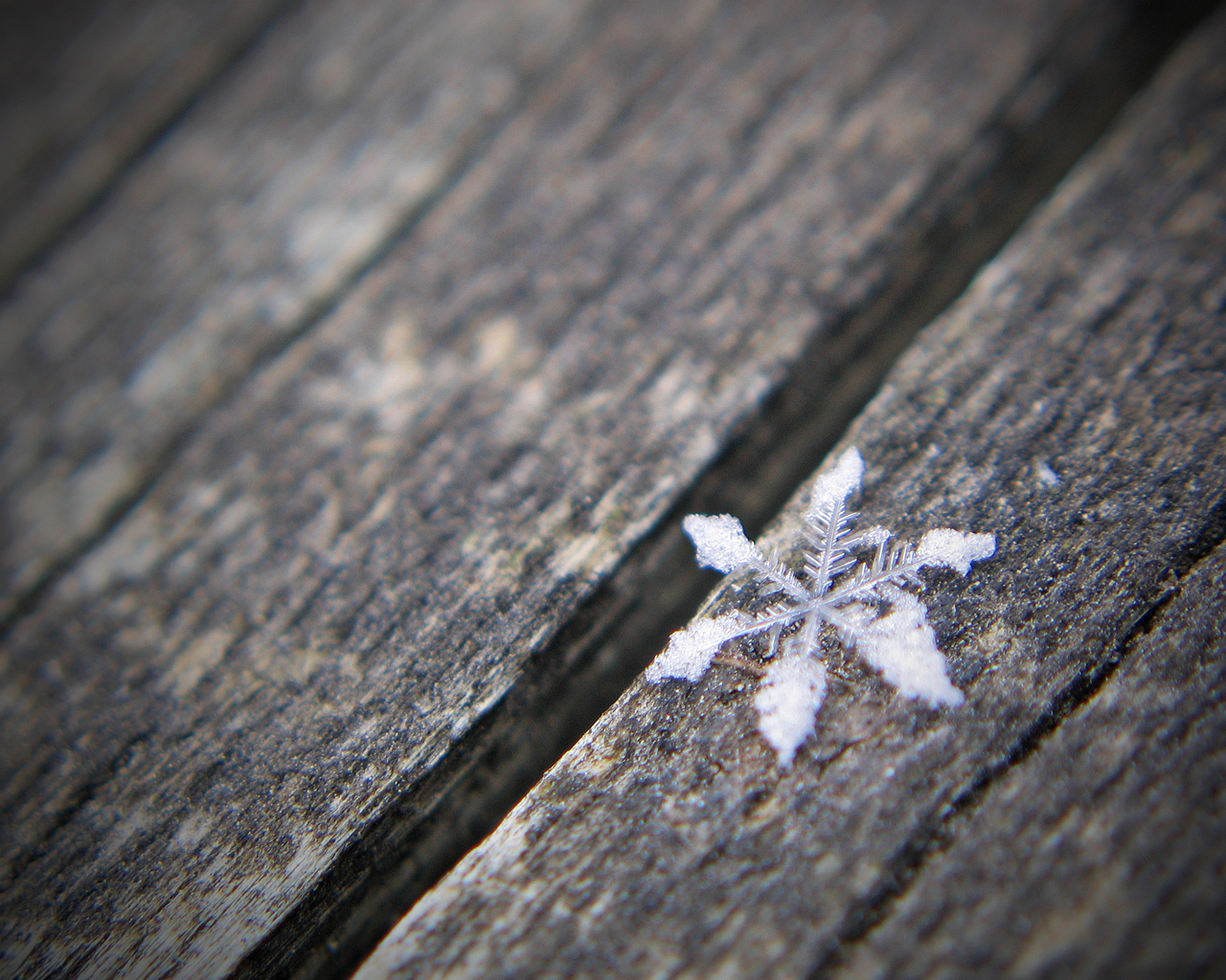 Winter wallpaper for pc 1280x1024 - vector snowflake wallpapers